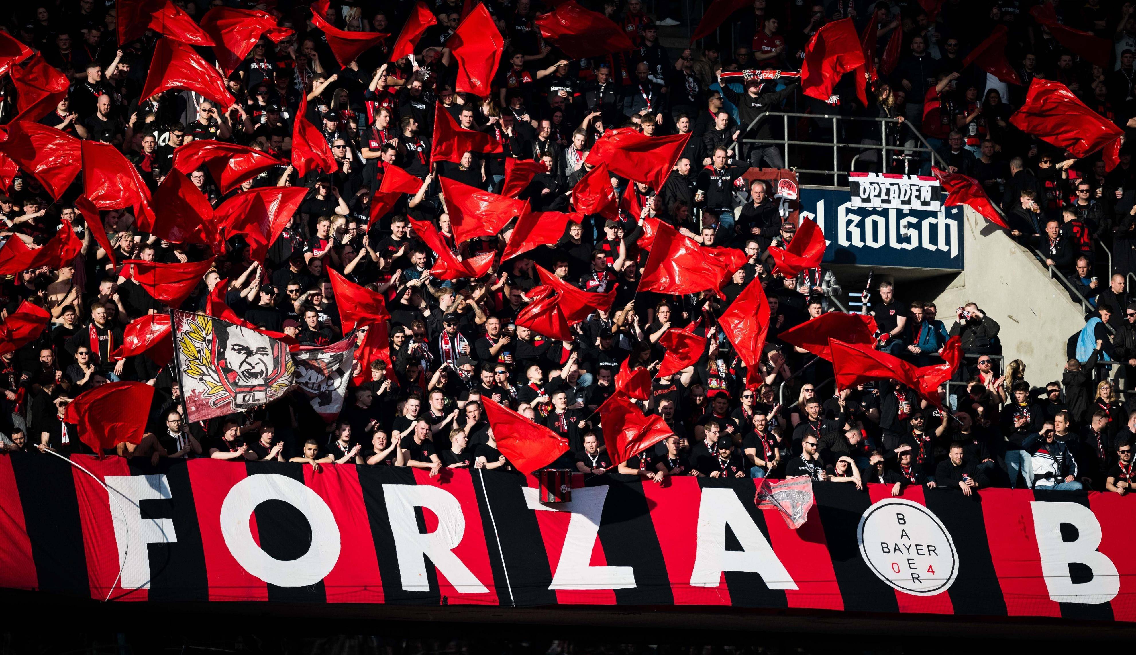 包含勒沃库森巴西新援表现抢眼,受到球迷热捧的词条 包含勒沃库森巴西新援表现抢眼,受到球迷热捧的词条